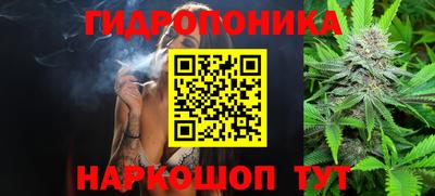 стаф Шахты