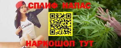 дживик Шелехов