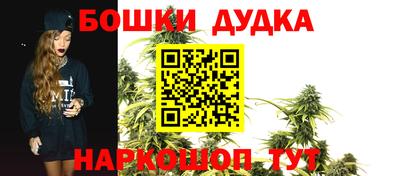 дживик Шелехов