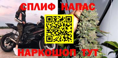 стаф Шахты